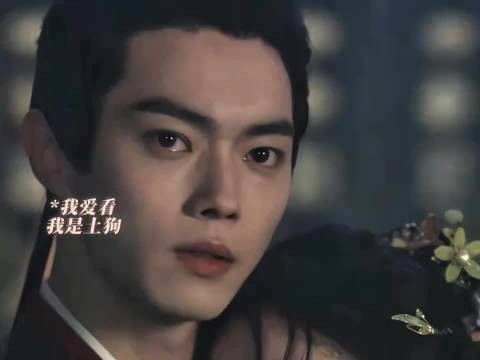 我是土狗我爱看