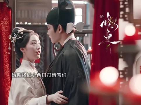 赵凌大婚强闯傅府救母，与傅庭芸终成眷属得女