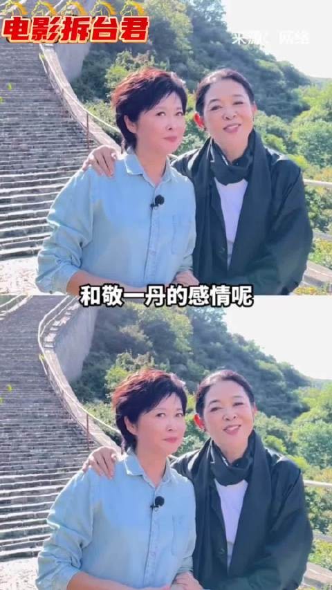 倪萍写给敬一丹的信，三千公里，终究没能送你最后一程