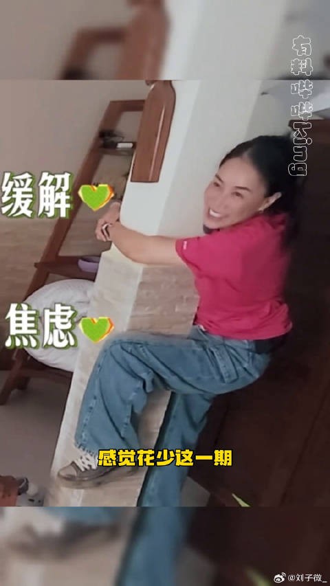 这是什么魔丸降世哈哈哈哈花儿与少年7 微博VC计划