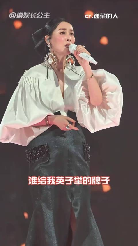 英子:你们文明一点好吗!那英演唱会互动
