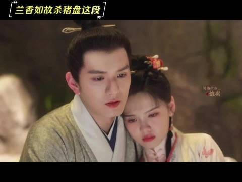 杜家兄妹设古代杀猪盘，林二小姐险被骗