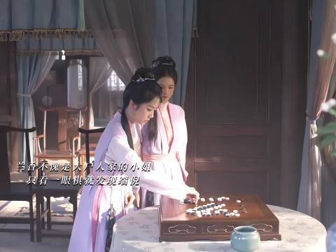兰香不愧是大户人家的小姐！一个棋子就看出来杜翠雀有问题