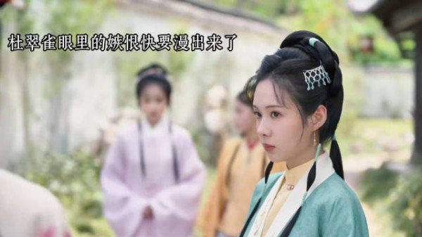 替林锦岐挡刀系杜氏兄妹圈套,杜翠雀嫉妒嫁侯府