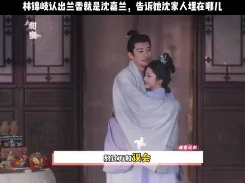 她苦苦寻找的沈家恩人，竟是她恨了许久的林锦岐…