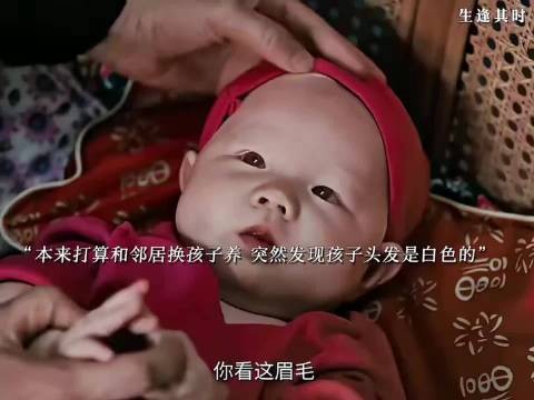 到底是自己喂大的心中还是不舍 生逢其时