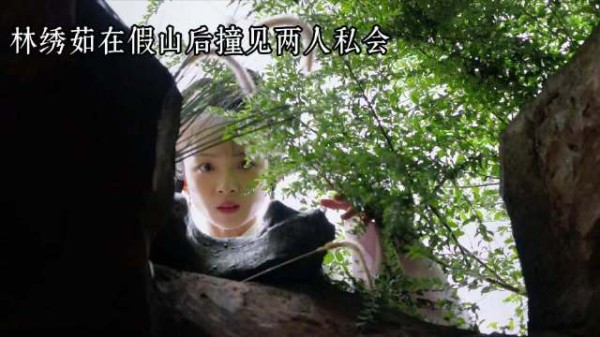 林绣茹替姐出嫁侯府,靠自己逆袭成候府主母,把家产全留给了自己女儿!