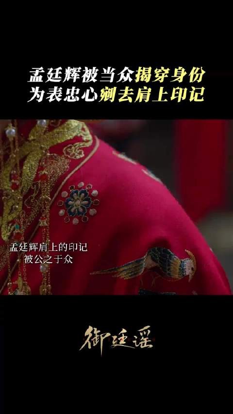 孟廷辉剜印自证，世间再无中宛公主！