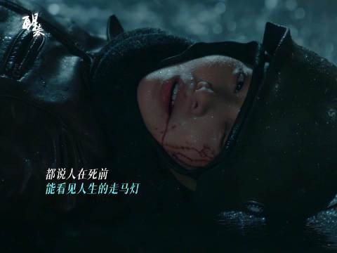 你救过我一命，所以我也要以命护你~@江疏影