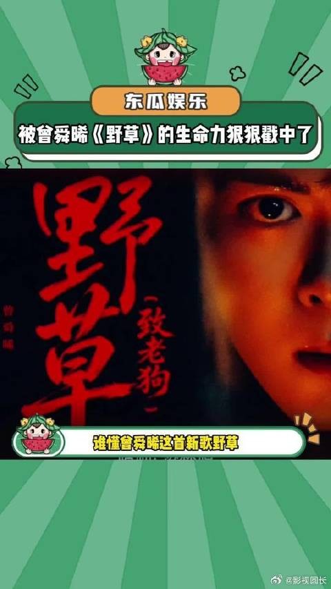 曾舜晞用《野草》唱出了吴老狗身上最动人的生命力