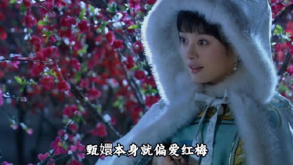甄嬛与梅花的缘分不简单