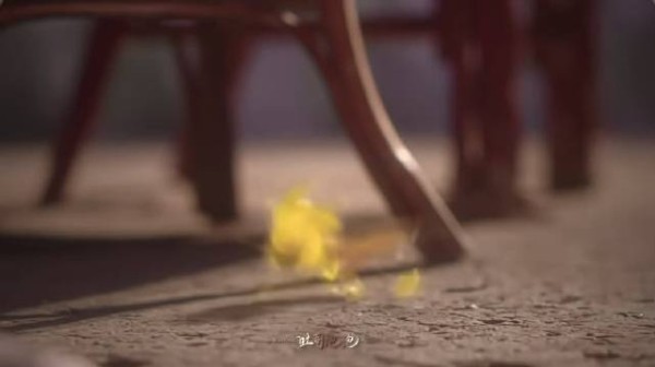 卧槽半夜刷到这个我彻底绷不住了