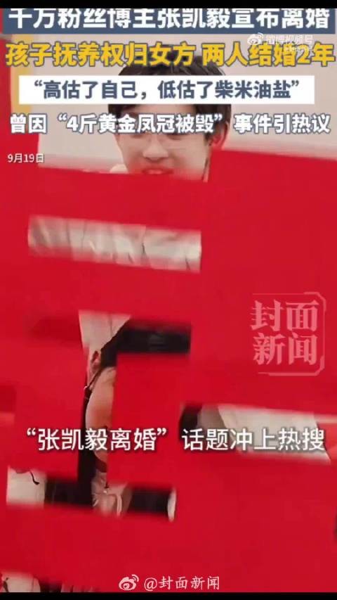 张凯毅称曾刻意美化婚姻