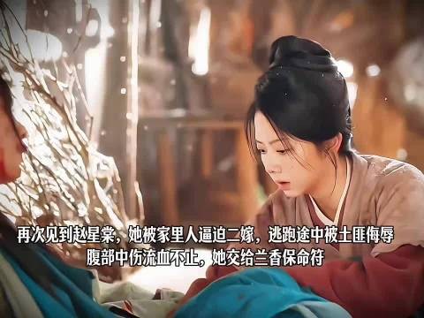 兰香脱奴籍有了登对的未婚夫，却被林锦岐强取豪夺