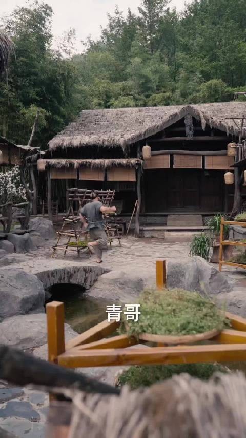 张元听从妻子的毒计出面举报,当众指控张青售卖的药茶含有剧毒,想要将他治罪