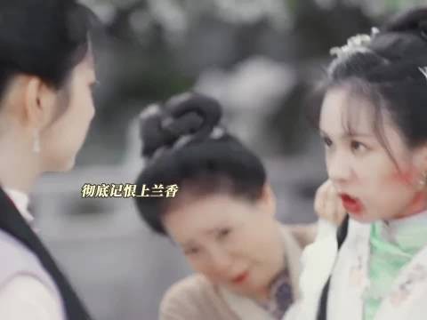 翠雀被赶出林府,要彻底记恨上许兰香了