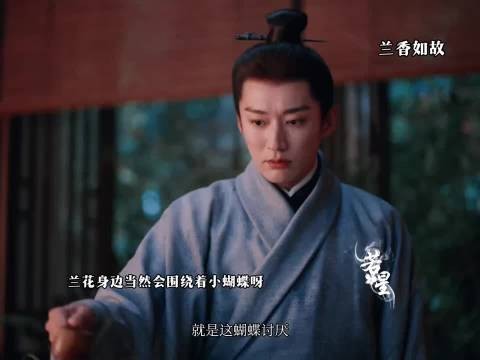 兰花身边肯定会围绕着蝴蝶呀给大爷到了 ，兰香如故