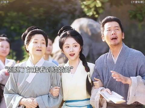 兰香一家脱离奴籍自由了,而赵星棠再次改嫁沦为棋子