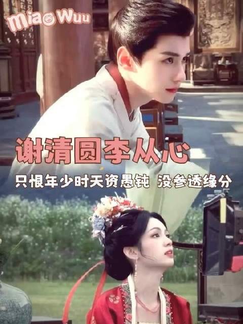 爱而不得的意难平文学