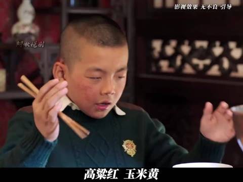 六子把杨景镇气趴后,张作霖只能重新另请高明,不料老师竟然这样 少帅