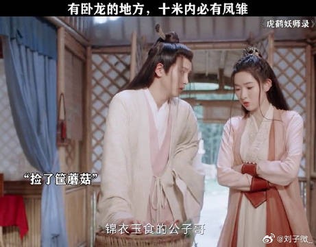 蘑菇:你能不能稍微犹豫犹豫尊重一下我 虎鹤喜剧梗太密了 蒋龙