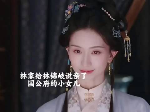 国公府小姐一眼就看上了林锦岐,可惜林锦岐都没有正眼看过他
