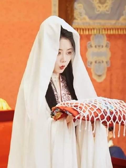 林锦岐于京城成功求得圣旨,准许迎娶兰香为正妻