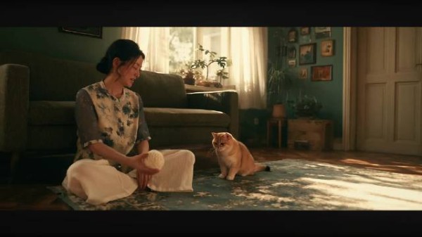 当年最讨厌猫的妈妈如今宠猫如宝,说下辈子还要做我女儿