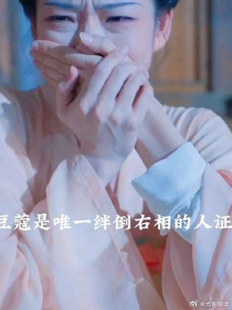 袁令仪遭欺骗家破人亡，豆蔻誓揭右相