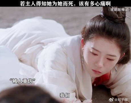 她只是想带主人回家而已啊 虎鹤喜剧梗太密了 蒋龙 微博VC计划微博VC计划