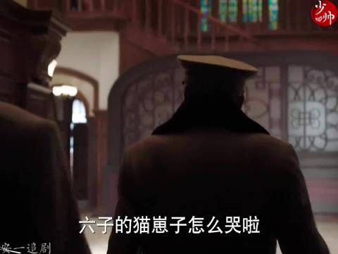 一脑门子褶子,咋俊呀少帅