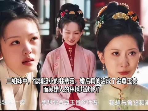 三个女儿贴心可爱，可袁家只想要男孩，林绣茹没能生儿子，袁绍辉便准备纳妾