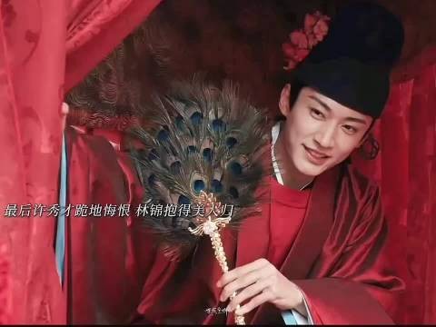 许秀才请媒婆说亲,时机不对被林锦岐撞到