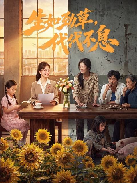 林青萍反家暴离婚创家具厂,母女接力传承女性自立
