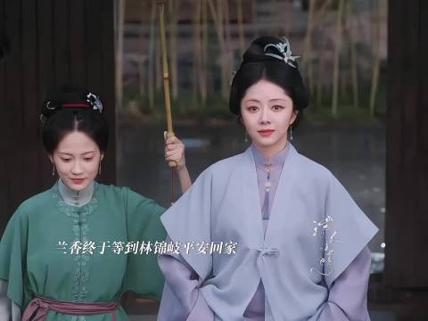 兰香终与林锦岐团圆,相聚倒计时余生孤身