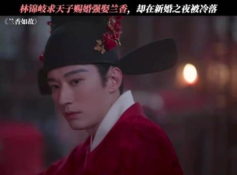 兰香如故27集大婚，林锦岐誓言此生唯一