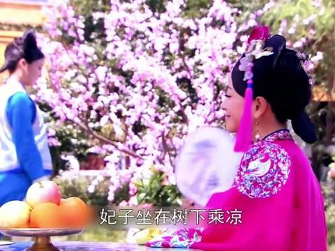 忽然意识到钮祜禄怜儿就是甄嬛 那玉漱是不是安陵容