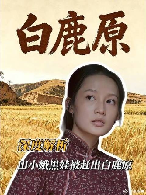 田小娥黑娃回白鹿原,被扒黑料