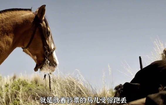 男子为挽回爱情取半生积蓄,枪响马惊钱全失