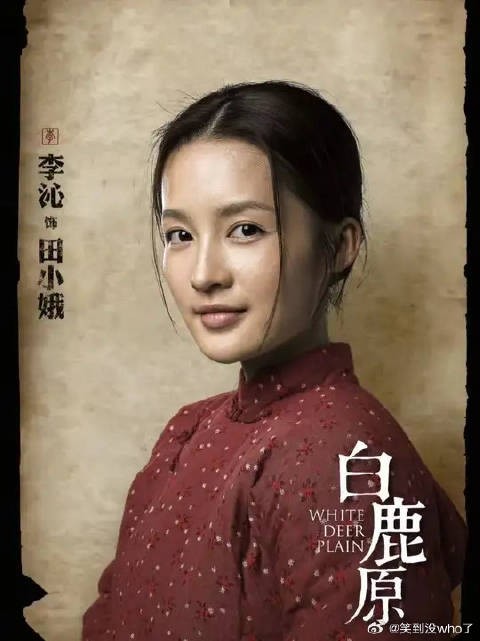 黑娃不仅找到个活干，也邂逅了他的第一个女人，田小娥