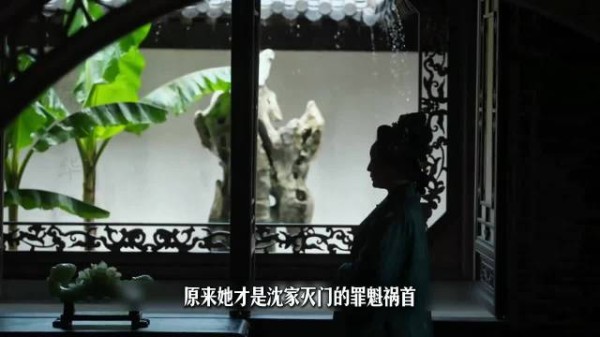 谭松韵刘学义新剧，沈家灭门始作俑者藏身边
