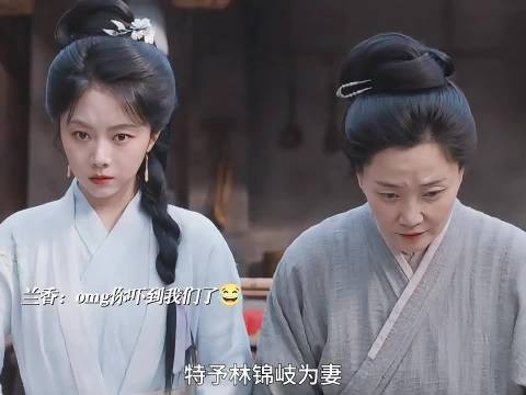 笑不活了,除了林锦岐和皇帝0人开心,老太爷都气哭了