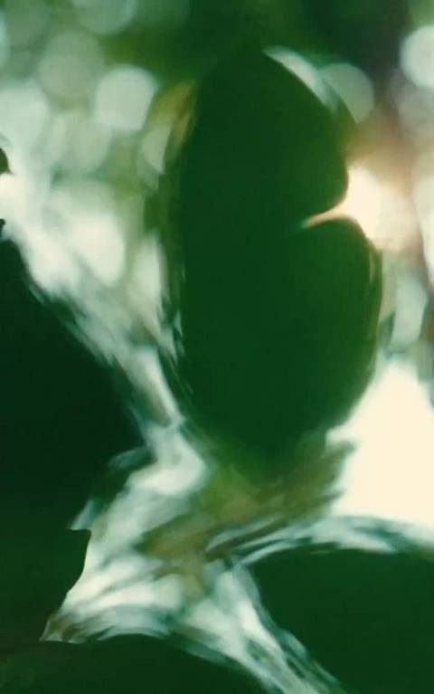 李冰冰近期活动造型各有韵味,优雅浑然天成这气质真的绝了!永远的雍容华贵