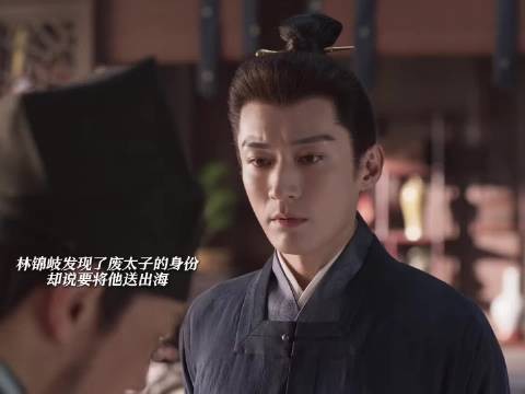 林锦岐放走废太子,弥补沈家遗憾