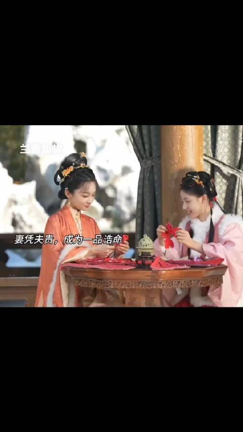 妻凭夫贵,成为一品诰命