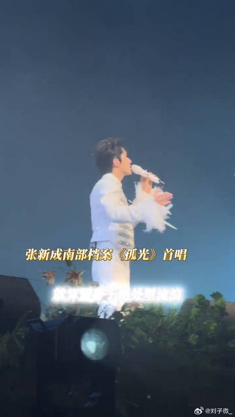 张新成 南部档案