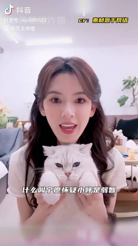 什么叫宁愿怀疑小呼是弱智也不承认它就是天使小猫啊