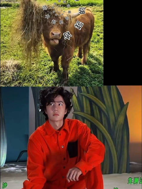 不好意思 太喜欢王牛牛了