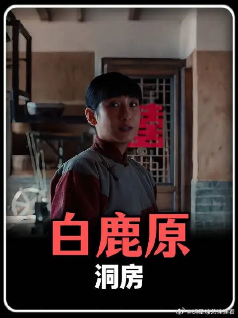 朱先生只用了一个谎言,就解开了白嘉轩的心结