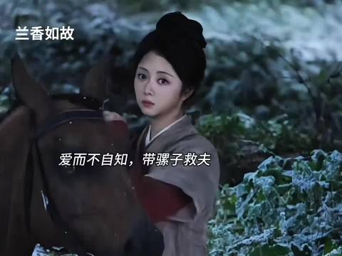 爱而不自知，带骡子救夫 ，兰香如故